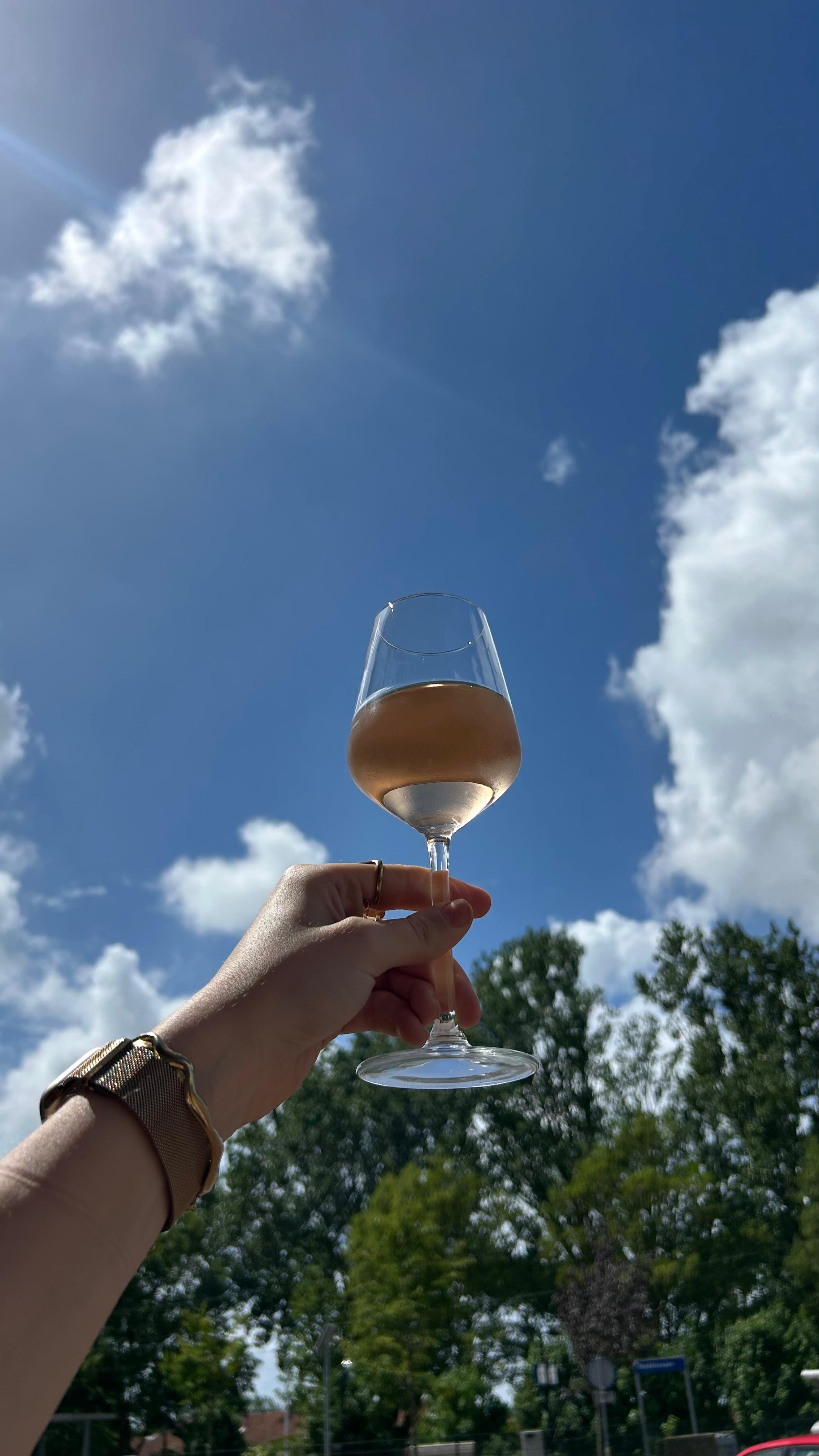 Borrel bij Rubens